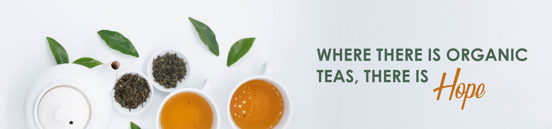 green-tea-banner